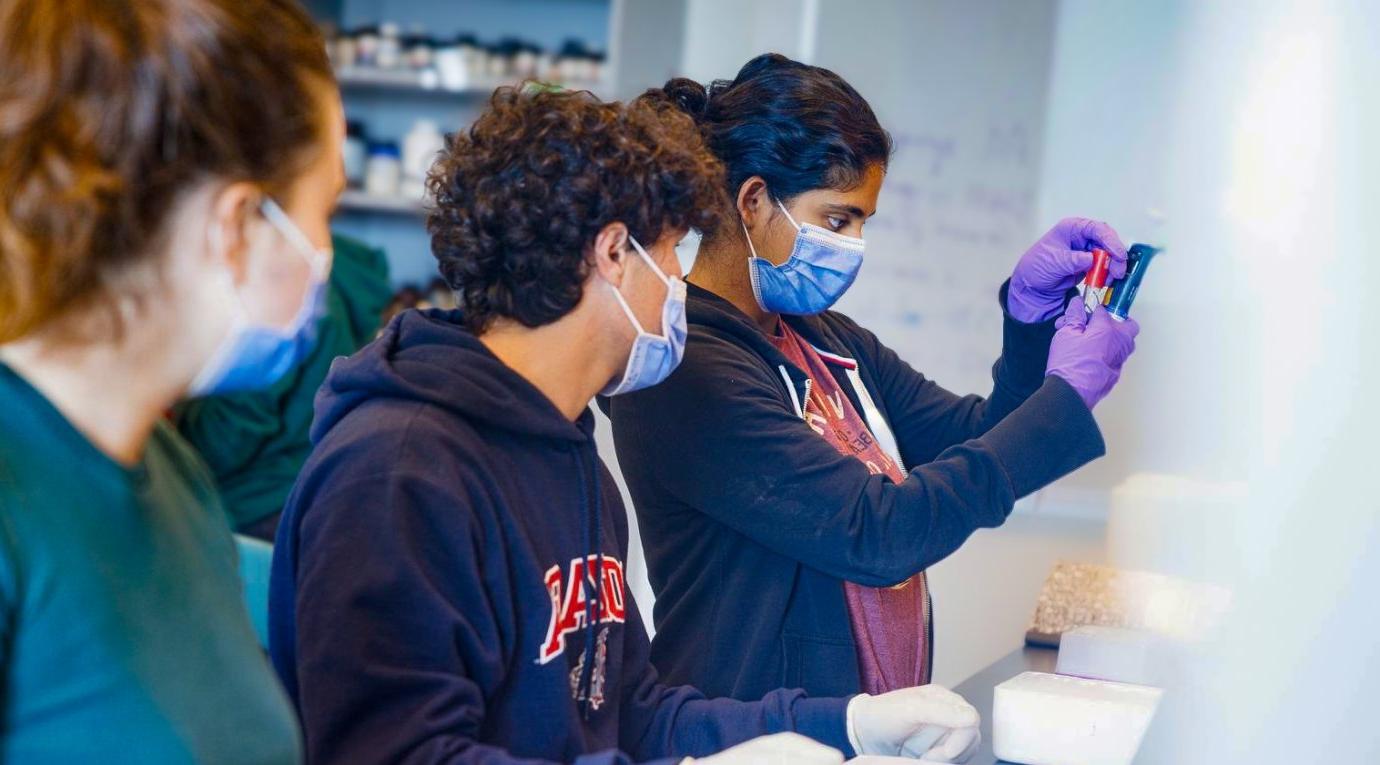 Students at work in a molecular biology lab at the Nucleus