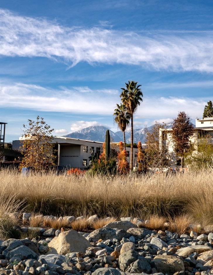 a view of the landscape of holden gardn with the gold student center in the background